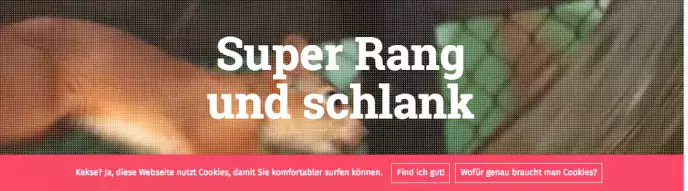 Beispiel Cookie Consent mit dem Wortspiel "Super Rang und Schlank"